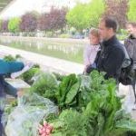 Une distribution écologique à Paris