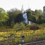 Les vignobles de Paris