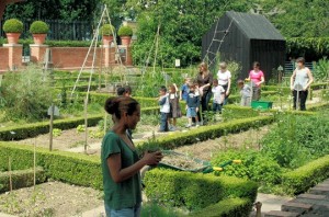 Jardin potager Paris